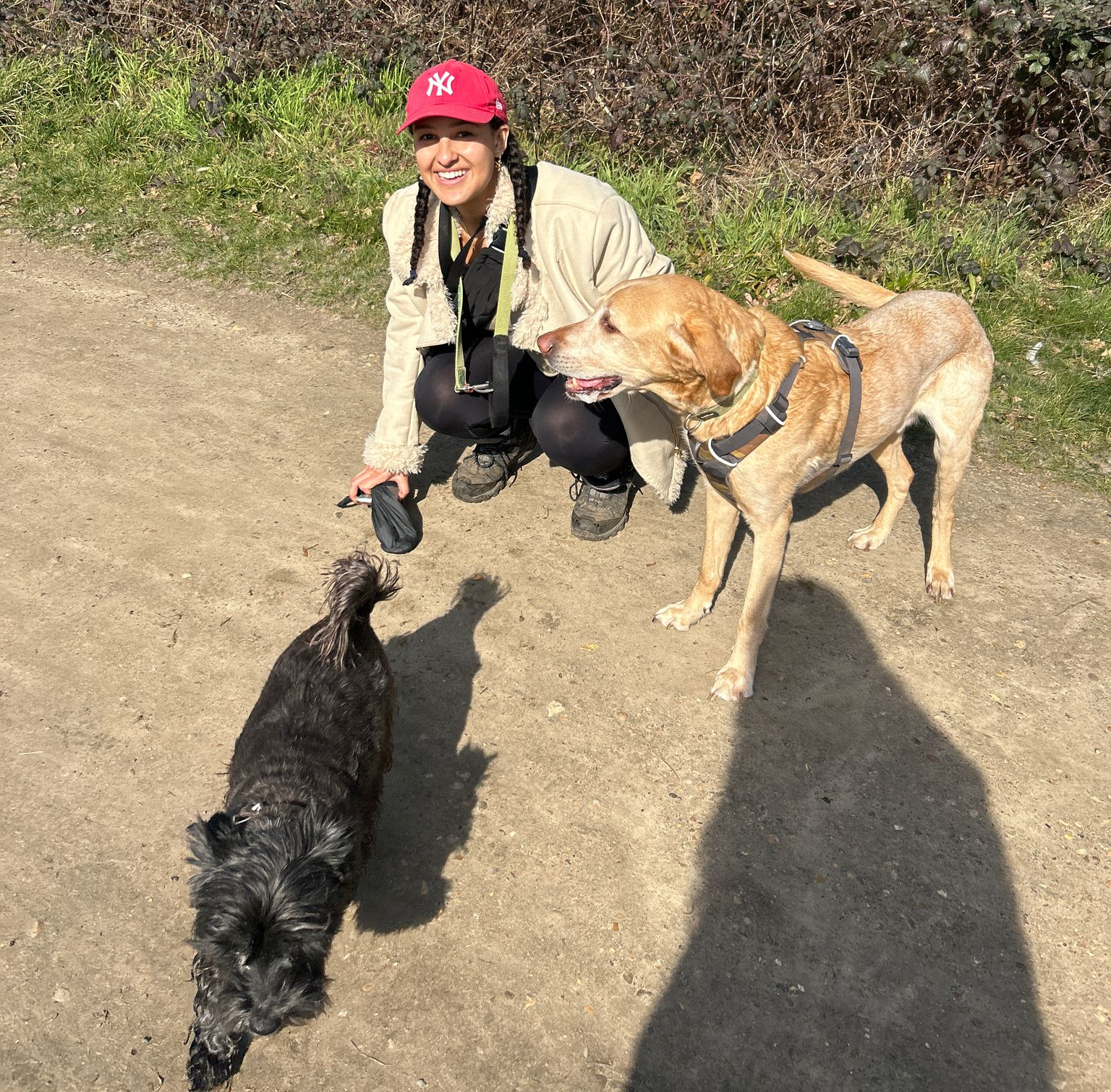 Happy dog walker smiling warmly at three dogs, showcasing a deep love for pets and a passion for dog care.